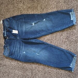 Nanette Lepore Belle High Rise Slim Stretchy Straight Jeans New Plus Size 24